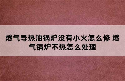 燃气导热油锅炉没有小火怎么修 燃气锅炉不热怎么处理